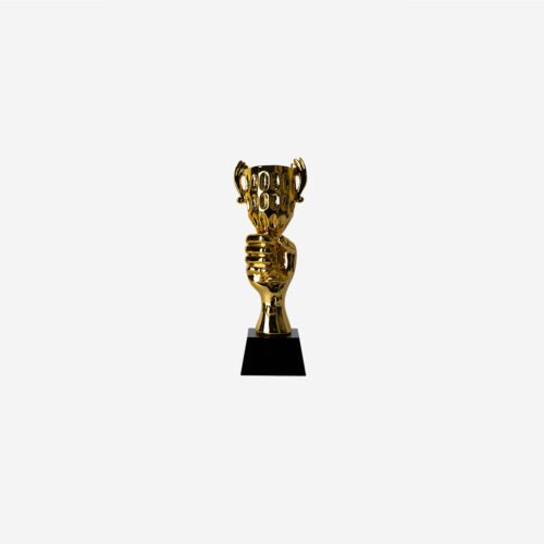 Trofeo en resina