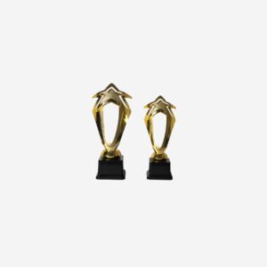 Trofeo estrella en plástico