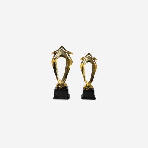 Trofeo estrella en plástico