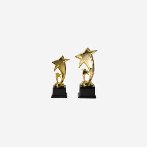 Trofeo estrella en plástico