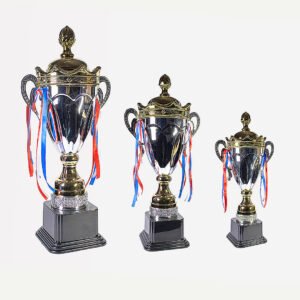 Trofeos metálicos bicolor