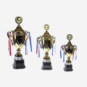 1080-9 Trofeos metálicos